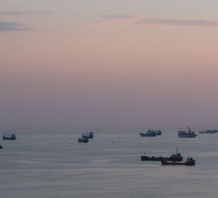 Meer mit vielen Schiffen im blaurosa Abendlicht